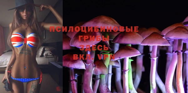 не бодяженный Арсеньев