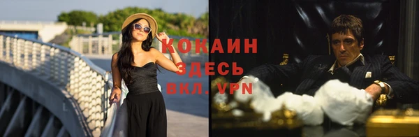 не бодяженный Арсеньев